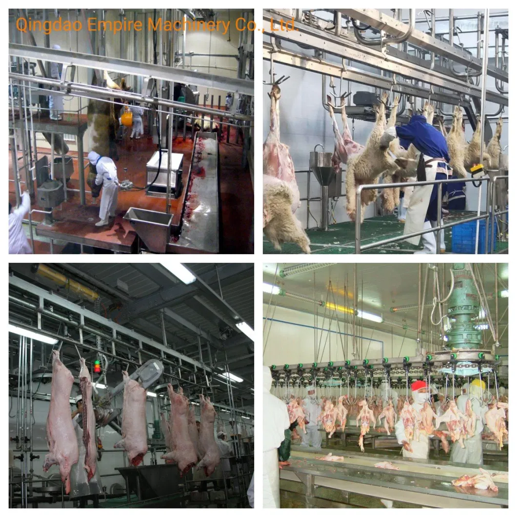 Complete Abattoir Plant Pig Slaughtering Line Carcass De-Hairing Machine Pork Abattoir Equipment