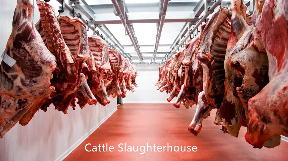 Cattle Sheep Pork Pig Slaughter Line /Slaughtering Machine/Equipment