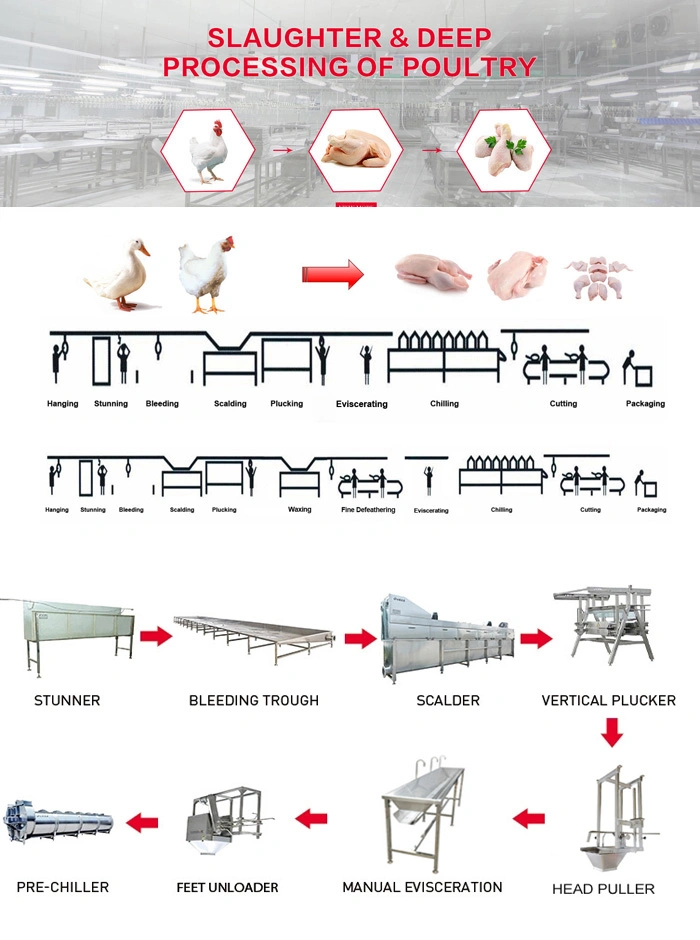 Chickens Automatic Poultry Chicken Slaughter Processing Line Plant