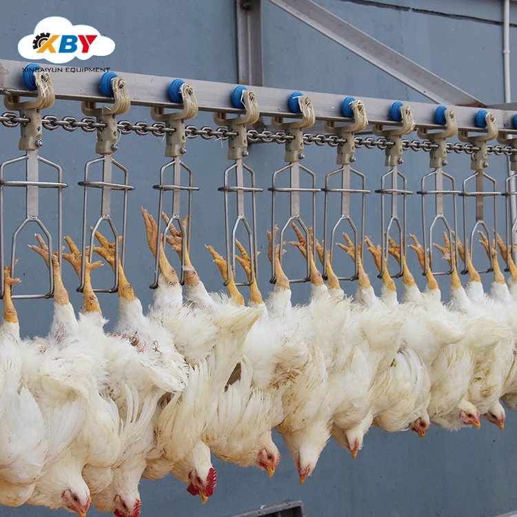 Poultry Chicken Slaughterhouse Machinery Slaughter Equipment