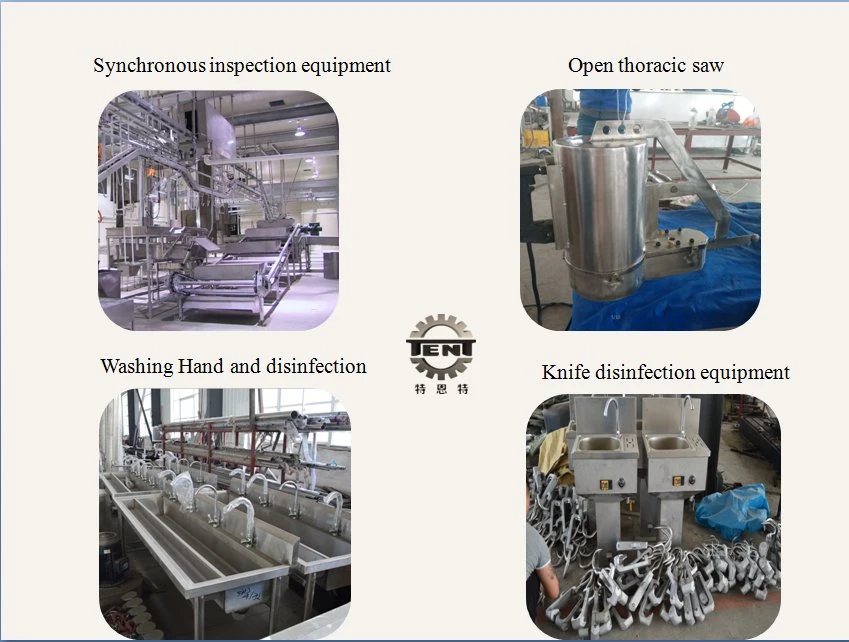 The Most Popular Slaughtering Equipment/Cattle Pig