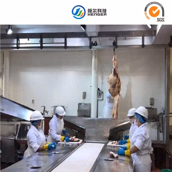 Attrezzature per macellazione Henger Attrezzature per macelli bovini per suini ovini