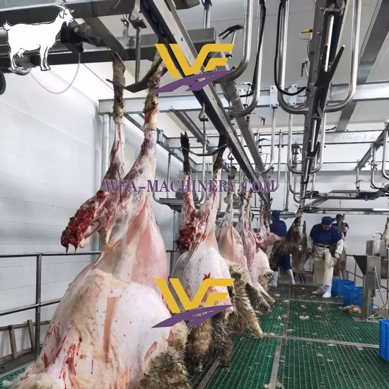Bovini, ovini, suini, suini, macellazione/macchina/attrezzatura per la macellazione