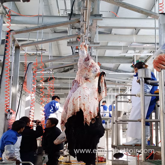 Qh300h Macellazione elettrica Tritacarne Affettatrice Linea di taglio Fattoria Pollame Sega Pollo Pesce Bovino Macellatrice Macellazione Attrezzatura per mattatoio